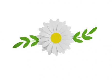 Imagen de FLOR CARTULINA MARGARITA 4PCS