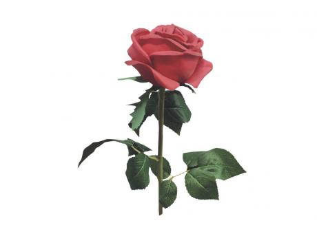 Imagen de ROSA ARTIFICIAL ROJO 63CM