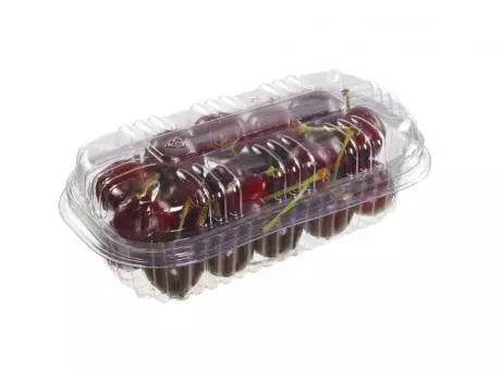NP 522-2F ENVASE AGUJERO FRUTAS TAPA/BASE 200 PZ/CJ