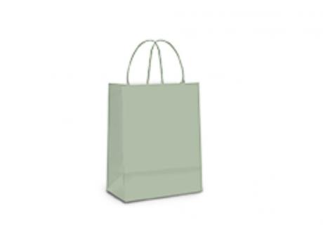 BOLSA PAPEL PQ LISO EUCALIPTO 21,5X15X8