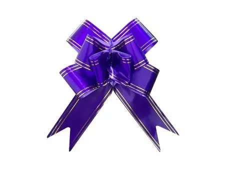 MOÑO FACIL 49MMX77CM RAYA VIOLETA C10