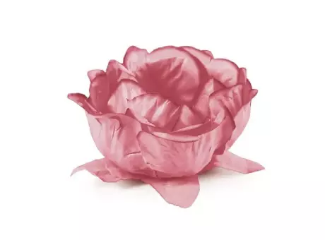 FORMITA DULCE FLORA HAPPY MOMENTS ROSA TE C30