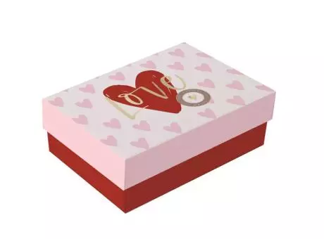 CAJA RECT RAPA PETT MD EST PASSIONE 19,5X4,5X6,5