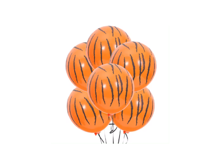 SET GLOBO ZEBRA NARANJA CM02346 X6 600CX