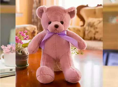 Imagen miniatura de OSO DE PELUCHE 30 CM PE1255