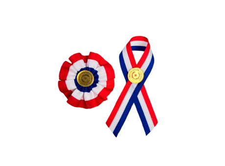 Imagen de ESCARAPELA CON INSIGNIA DORADA