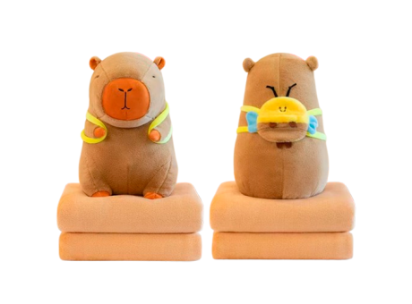 MANTA CAPYBARA KT6