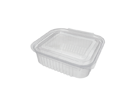 NP 090 ART DELLY POTE RECTANGULAR 500ML ARTICULADO C200