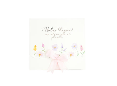 CAJA LAZO LLEGUE PARA HACERTE FELIZ 27X24X8.5 PK053.4.20.1