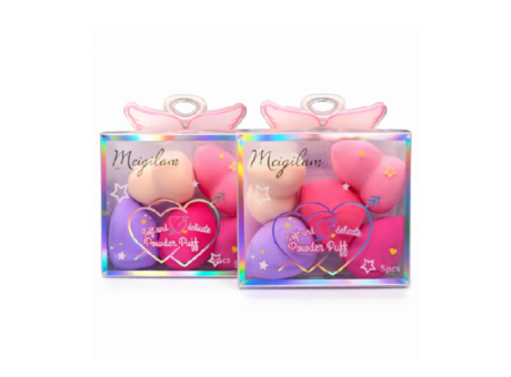 ESPONJA SET 5PCS SH014