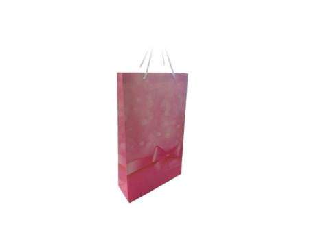 BOLSA SC16 21497 MUNDO ROSA EST 01