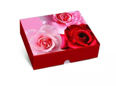 CAJA RECT TAPA FUNDO NEW GRD DECOR BELLE 30X25X6