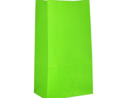 BOLSA PAPEL 24P (13X24X8) VERDE