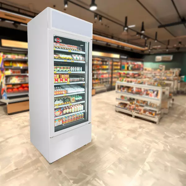 Imagen miniatura de EXPOSITOR VERT.TOKYO FRIO SECO MOD CGTOKICVS400FS 1PTA 400L COM/335L NETO