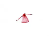 Imagen miniatura de BOLSITA ORGANZA 10P (7X9CM) ROJO