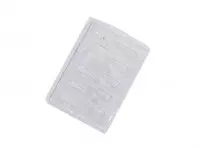 Imagen miniatura de FORMA PVC PADRON PASCUA 588 ZANAHORIA
